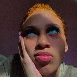 Meet your Posher, Sylvia